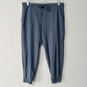 Albion Fit Jetsetter Jogger Pants Light Blue Size Small Petite Zipper Ankles